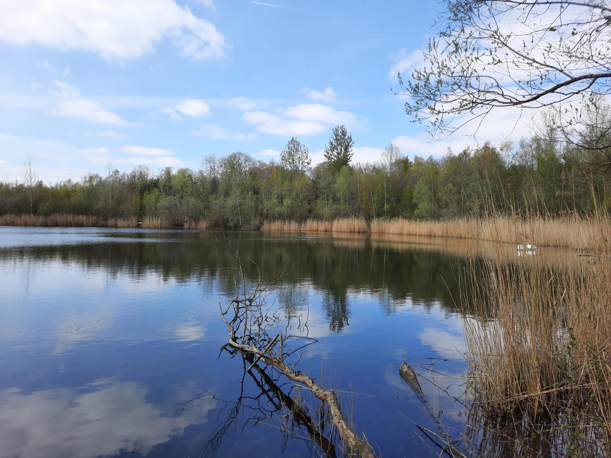 Ferienhaus Am See Goch Kessel Rum bild